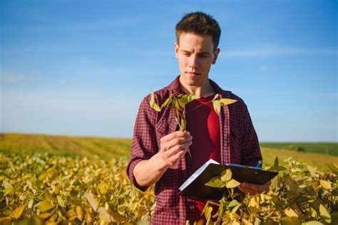 Agriculture Education Stock Photos, Images and Backgrounds for Free Download