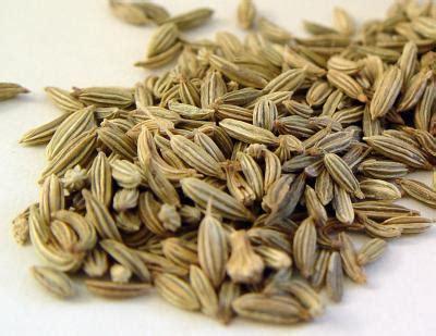 Are caraway seeds and fennel seeds the same? - Seasoned Advice