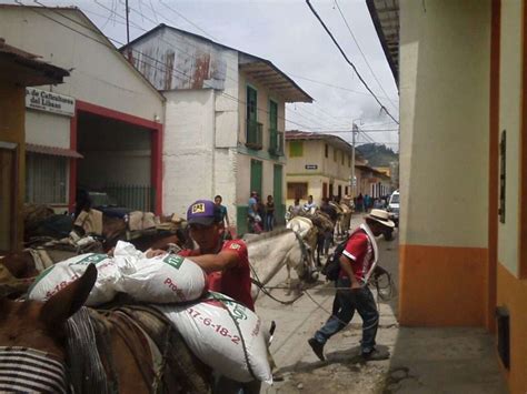 Colombian Coffee History and Country | Cocotu.com