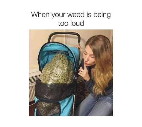 Funny Weed Memes Ideas For Stoners (2022)