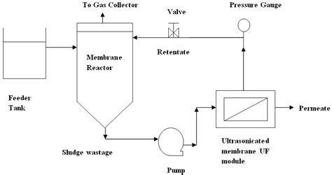 palm oil mill effluent (pome) treatment system - Rachel Allan