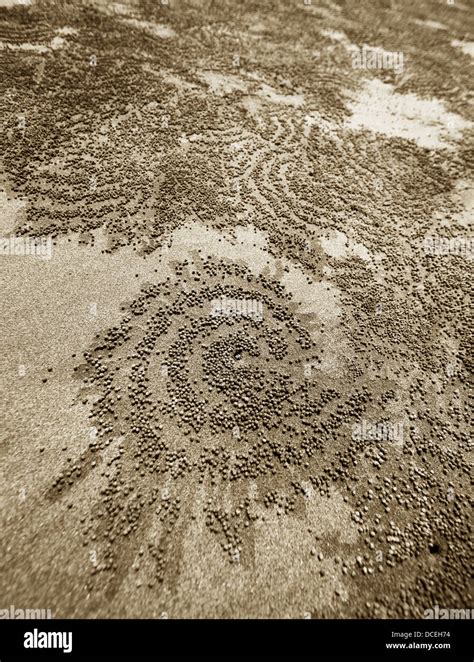 Tropic of cancer beach hi-res stock photography and images - Alamy