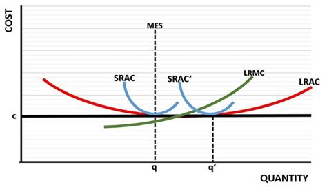 Minimum Efficient Scale Explained (with Examples & Graph)