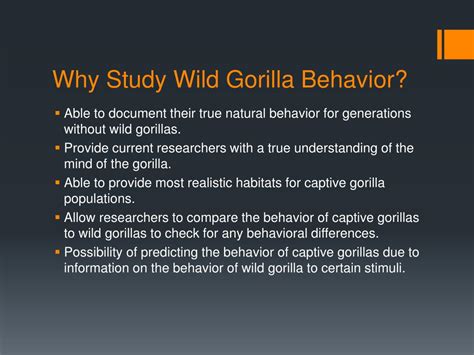 PPT - Gorilla Behavior PowerPoint Presentation, free download - ID:2925173