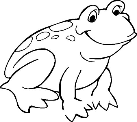 Realistic Frog Coloring Pages | Free download on ClipArtMag