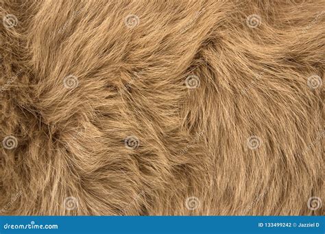 Natural Fur of Red Polar Fox Closeup Stock Photo - Image of abstract ...