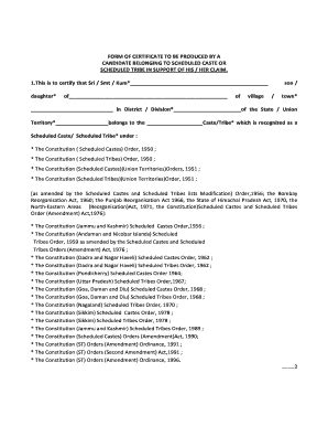 Central Caste Certificate Image: Complete with ease | airSlate SignNow