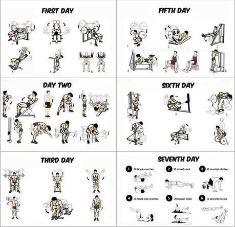 Exercise Program: Exercise Program Using Home Gym