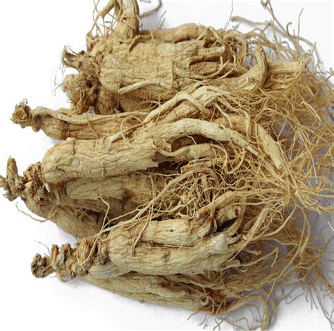 Ginseng facts and health benefits