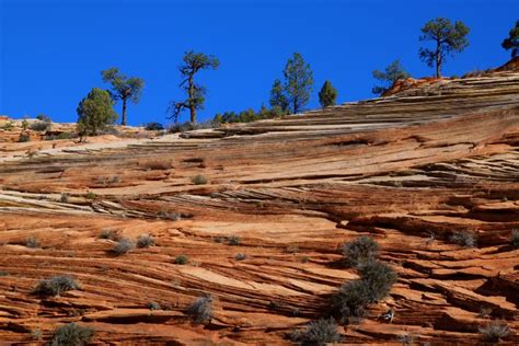 13.4: Desert Landforms - Geosciences LibreTexts