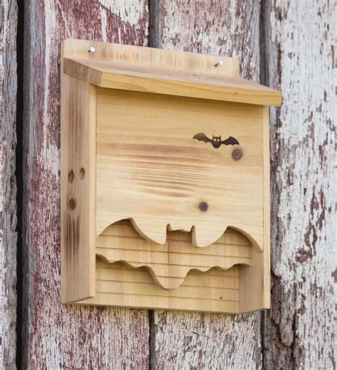 Pin by Jcub on Wood crafts | Bat house diy, Bat box, Bat house