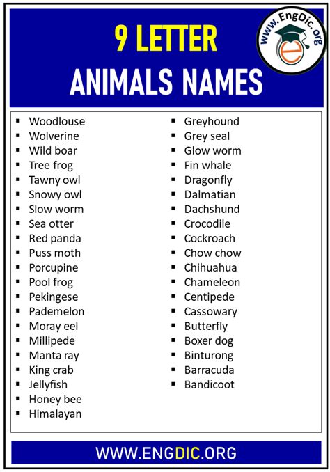 9 Letter Animals Names in English - EngDic