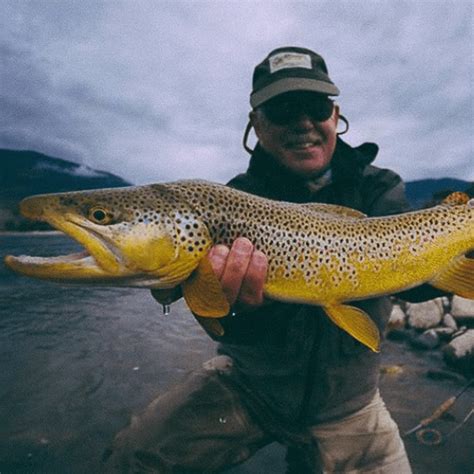 Fly Fishing in Montana: Diverse Trout Species & Premier Destinations