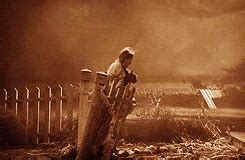 Tornado Gif Wizard Of Oz / Wizard Of Oz Tornado GIFs | Tenor / My idea of the tornado scene in ...