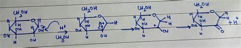 organic chemistry - Glycoside Formation Reaction - Chemistry Stack Exchange