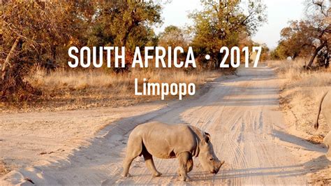 Limpopo South Africa Wildlife Safari 2017 - YouTube