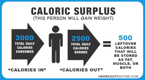 How Many Calories Should I Eat A Day To Lose Weight or Gain Muscle?