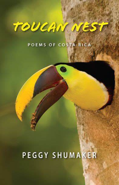 Toucan Nest by Peggy Shumaker, Paperback | Barnes & Noble®