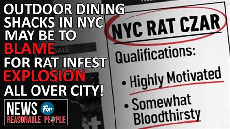 NYC posts ad for "Rat Czar" as the rodent population explodes post-covid