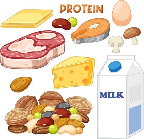 protein foods - Clip Art Library