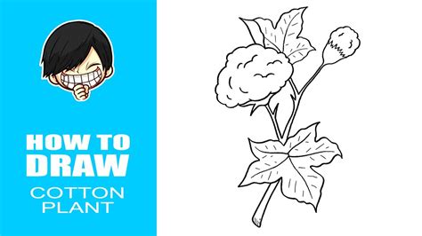 Cotton Plant Drawing For Kids