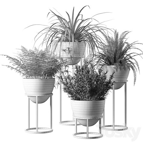 Houseplants in ovoid pots - Indoor - 3D model
