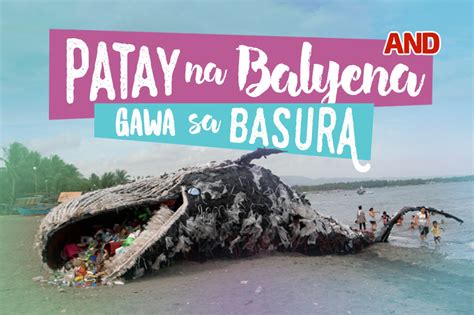 Patay na balyena, Gawa sa basura | ABS-CBN News