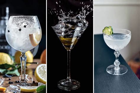 Get Your Gin Fix: 16 Must-Try Gin Cocktails - House Hunk