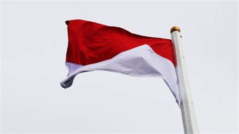 Daftar Susunan Acara Upacara Bendera Hari Pahlawan Lengkap Dari | The ...