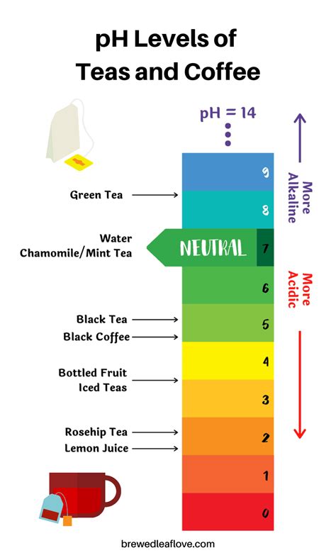 Is Tea Less Acidic Than Coffee? What's in Your Cup? - Brewed Leaf Love