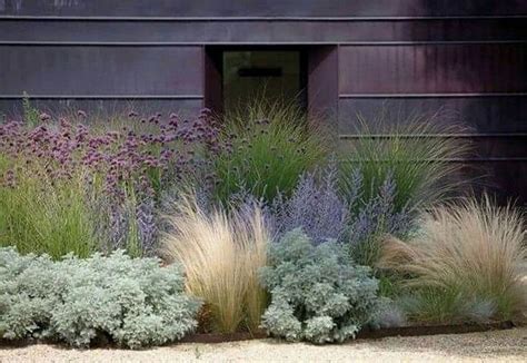 The Best Ornamental Grasses Landscape For Beautiful Garden | Ön bahçe ...