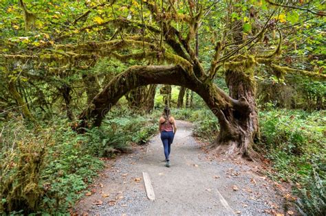 Young Woman on Hoh Rain Forest Trail in Olympic National Park, Washington. Stock Image - Image ...