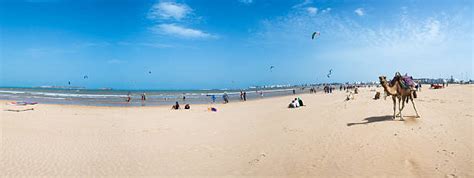 130+ Essaouira Surfing Stock Photos, Pictures & Royalty-Free Images ...