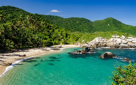 Tayrona National Park wildlife location in Colombia, Latin America ...