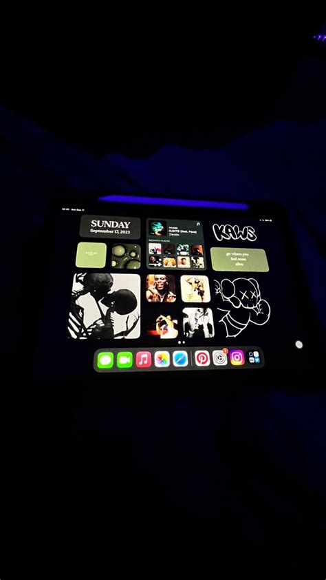 iPad Home Screen | Custom ipad, Ipad essentials, Iphone app layout