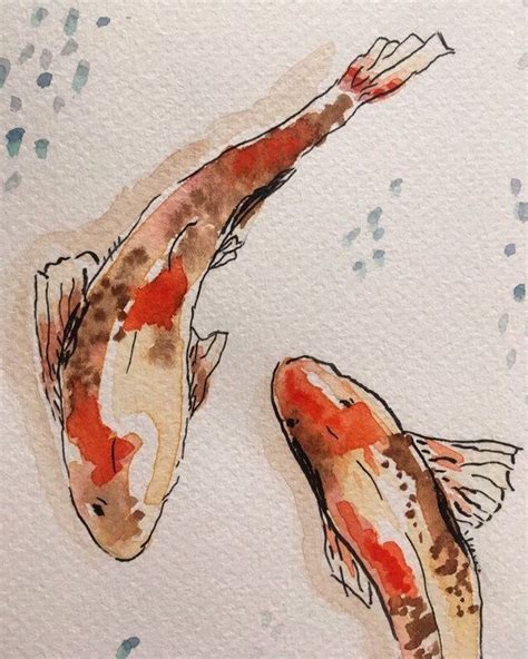 Ilustración en acuarela-Peces Koi. Se dice que el ascenso del koi a la cascada significa ...