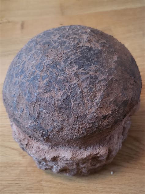 Is this a Parasaurolophus Fossil Egg? - Fossil ID - The Fossil Forum