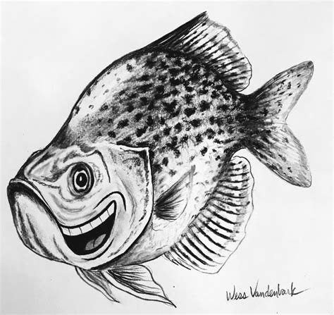 Feedback about these crappie drawings requested