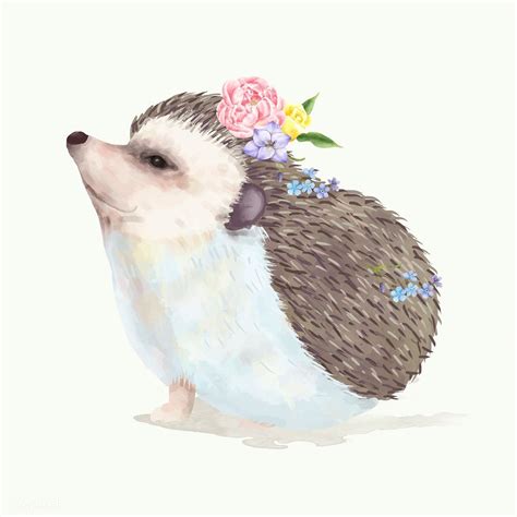 Illustration of a baby hedgehog | free image by rawpixel.com | Hedgehog illustration, Baby ...