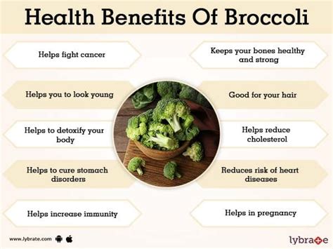 Broccoli Benefits For Pregnancy - king gambit