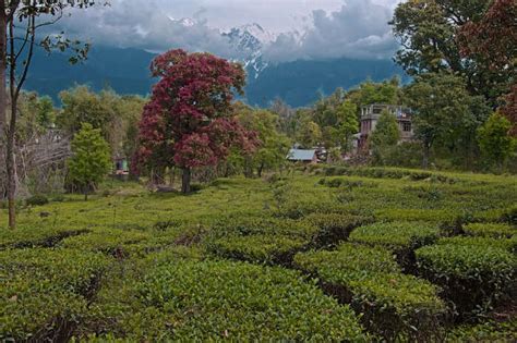 20 Best Places To Visit In Kangra In 2023 That Refresh Your Vacation!