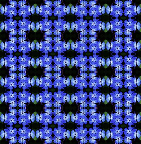 Blue Flower Wallpaper 2 Free Stock Photo - Public Domain Pictures