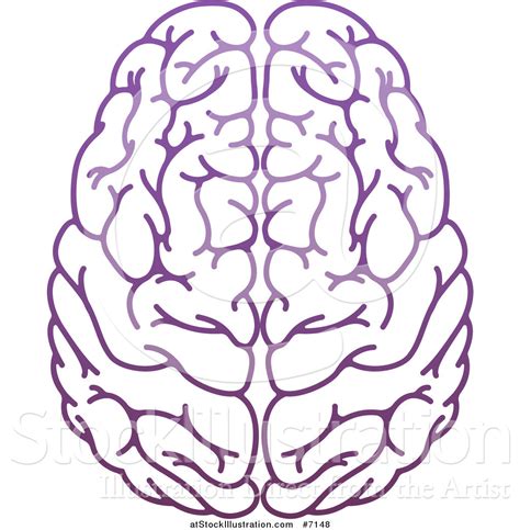 Vector Illustration of a Purple Human Brain by AtStockIllustration - #7148