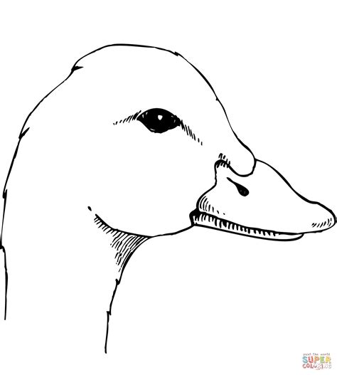 Duck Head coloring page | Free Printable Coloring Pages