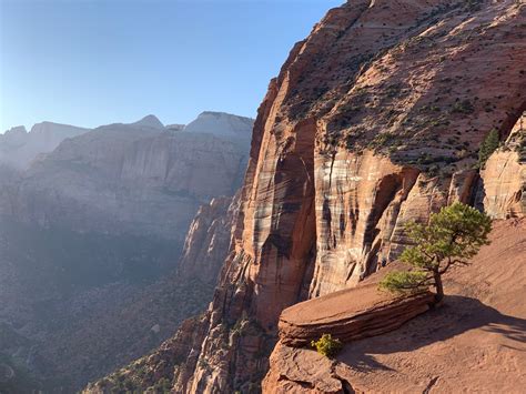 Zion canyon overlook trail • Wanderung » outdooractive.com