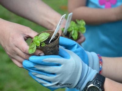 Wakefield Forest ES Establishes Garden Club | Wakefield Forest ...