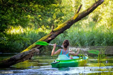 Drawa National Park Photos and Premium High Res Pictures - Getty Images