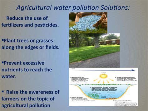 Water Pollution Solutions / Kvabgha Public School by waterpollutionandsolutions - Issuu