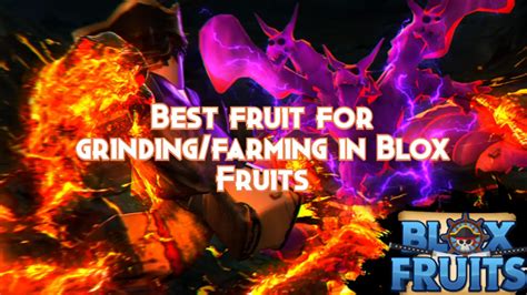 Best Fruits For Farming Blox Fruits Food Keg - vrogue.co