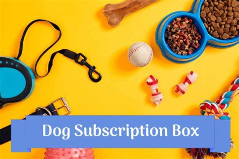 Dog Subscription Boxes: Our Top 6 Recommendations